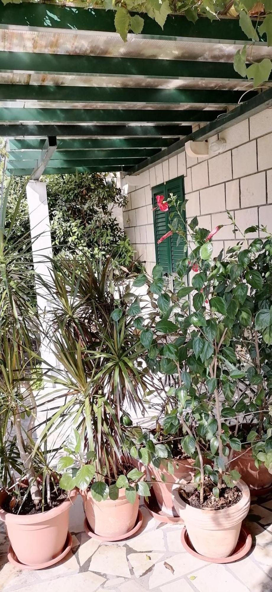 Apartments Fani Kanun Μπολ Εξωτερικό φωτογραφία